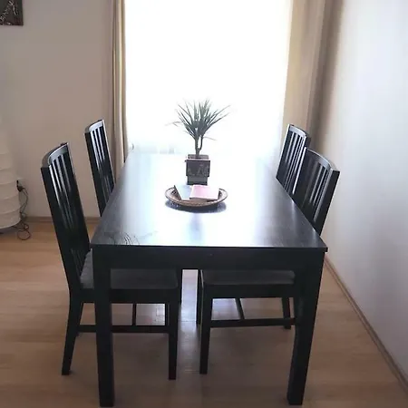 Spacious Apt In City Center