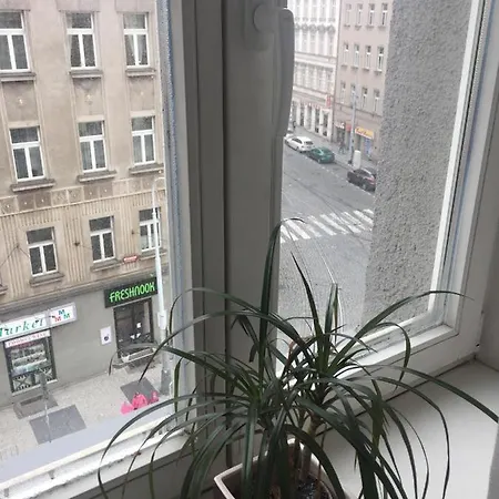 Apartmán Spacious Apt In City Center *